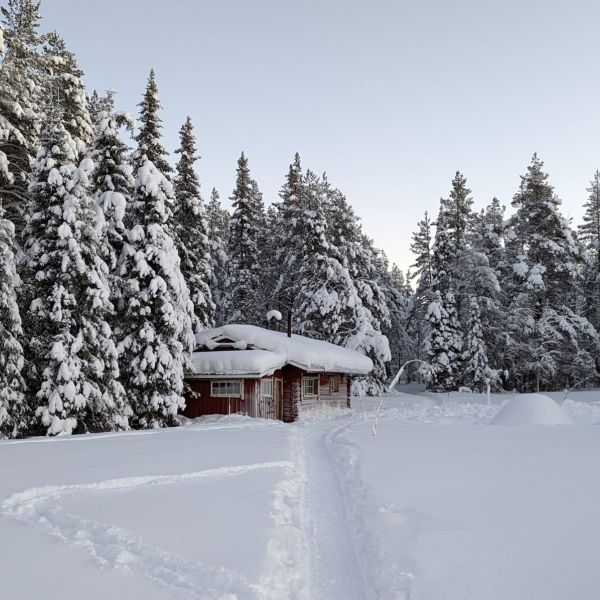 Familienurlaub in Schwedens Lappland - Winterabenteuer am Polarkreis