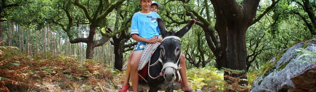 esel reiten portugal jungs familie urlaub