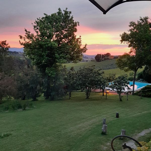 Toskana-Urlaub in Bio-Weingut bei Vinci