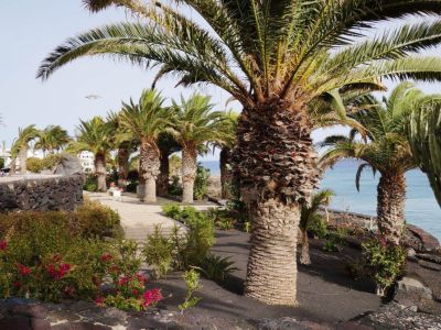 Natururlaub auf Lanzarote genieen