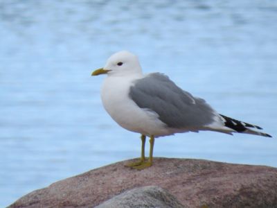 aktivreise Ostsee nachhaltigkeit im Tourismus 