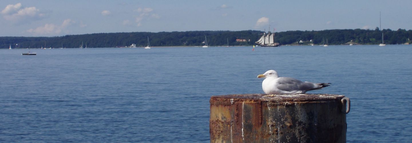 Deutschland Urlaub See