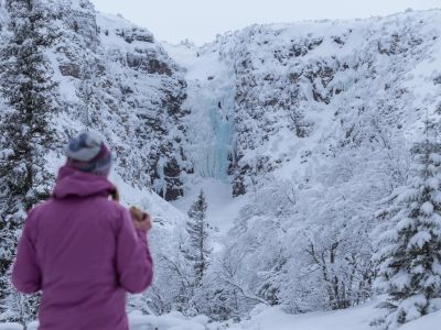 Schneelandschaft mit verschneiten Baeumen in Schweden Winterurlaub