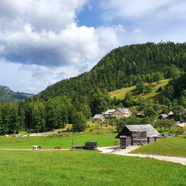 Urlaub auf dem Bio-Bauernhof im Herzen der Steiner Alpen - Slowenien