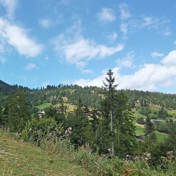 sterreich: Familienurlaub auf dem Bauernhof in Krnten 