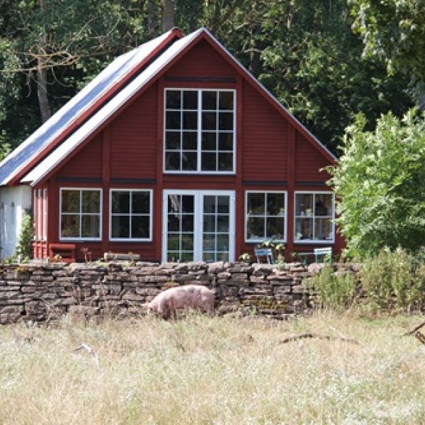 Familienurlaub auf dem Bauernhof auf land - Schweden