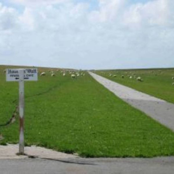 Hier knnen Sie Watt erleben! - Familienurlaub Nordsee