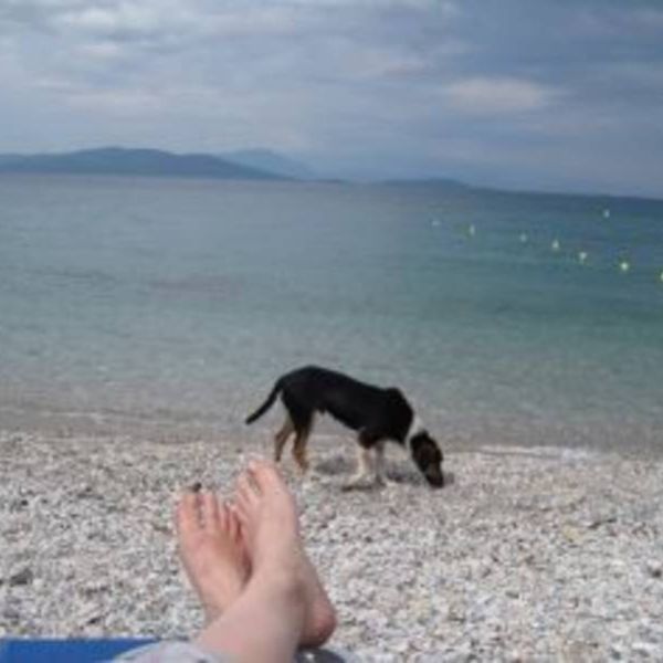 Yoga, Qi Gong & Wandern: Griechenland-Urlaub im Pilion 