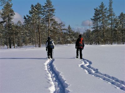Aktivreise im Winter Schweden Idre Darlana