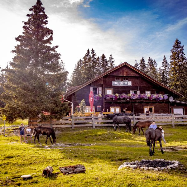 sterreich: Httenwanderung fr Familien im Salzkammergut