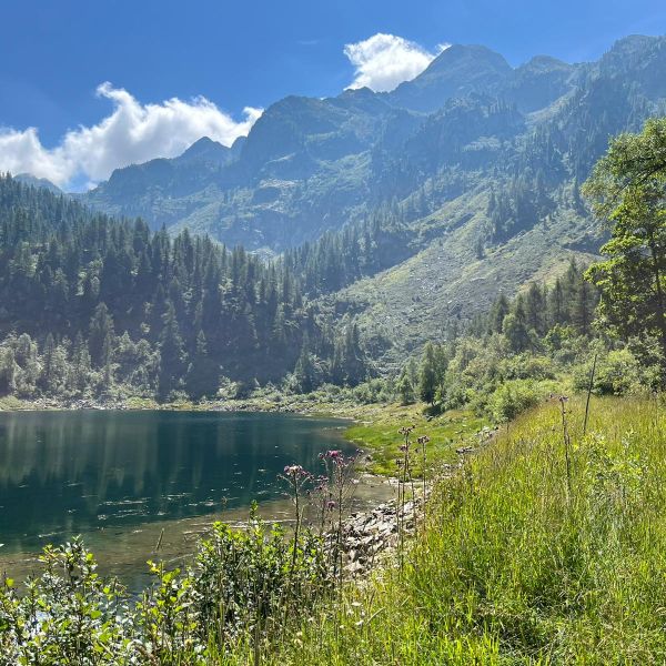 Bergwandern ohne Gepck im Valle del Lys - Aostatal