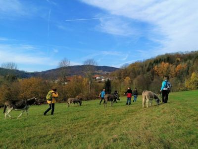 Eselwandern mit freunden und familie deutschland