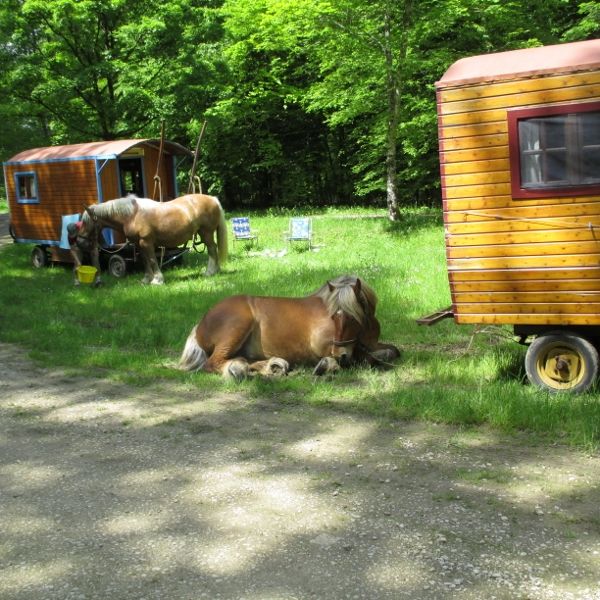 Planwagen-Urlaub in den Vogesen - Frankreich