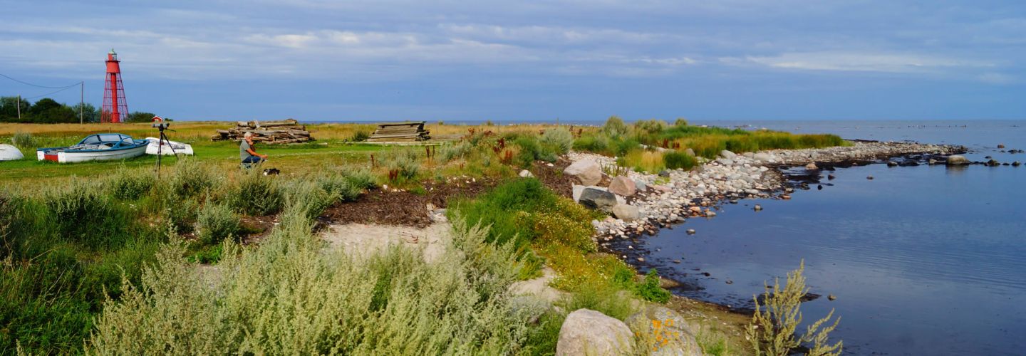 Schweden Urlaub Landschaft