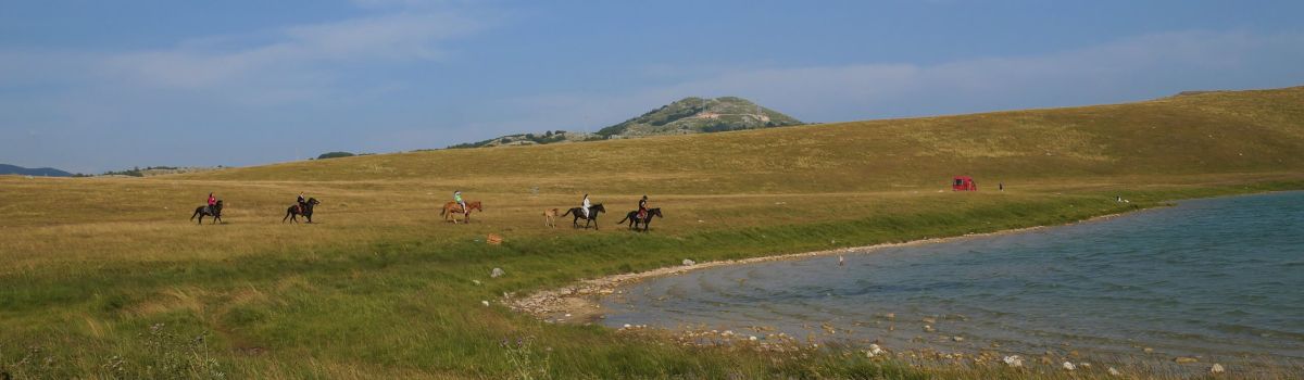 urlaub mit kindern montenegro reiten