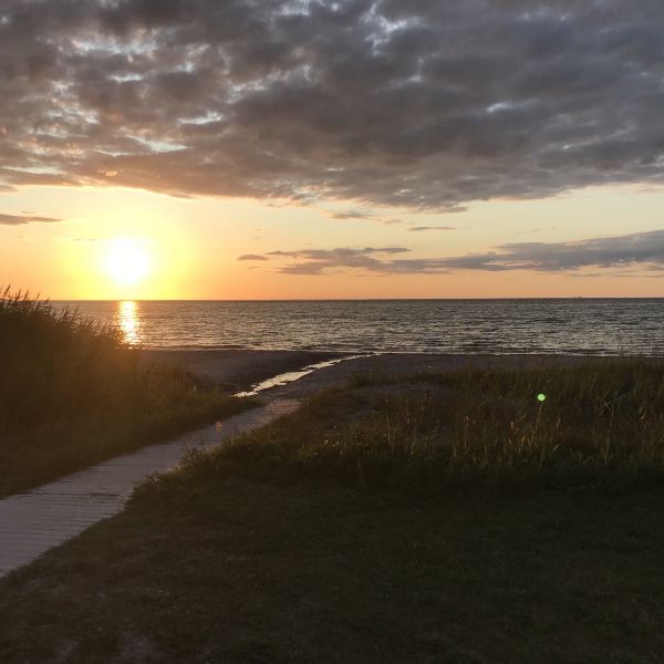 Familienurlaub auf dem Bauernhof auf land - Schweden