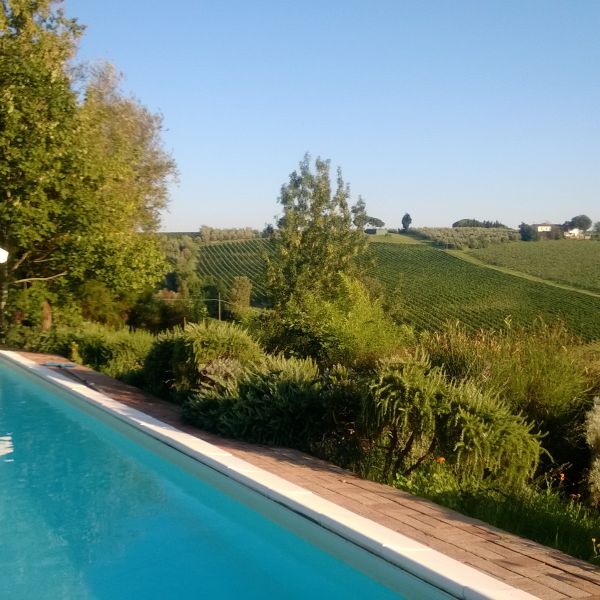 Toskana-Urlaub in Bio-Weingut bei Vinci