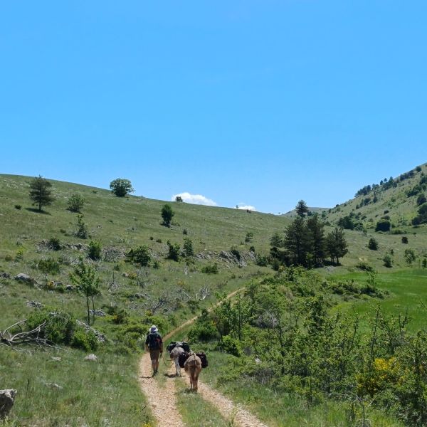 Eselwandern in den Abruzzen: Trekking-Abenteuer in Italien