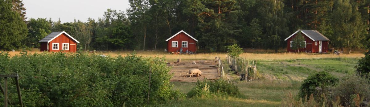 ferienhaus ferienwohnung oeland schweden familie land