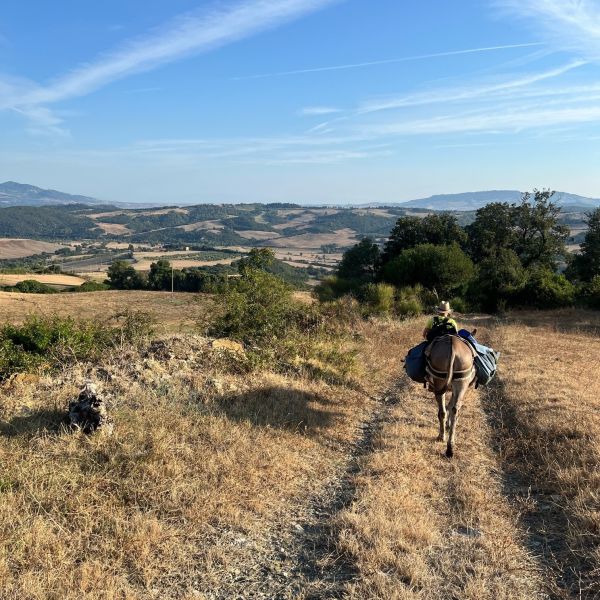 Eselwandern in der Toskana - Val di Cecina - Italien