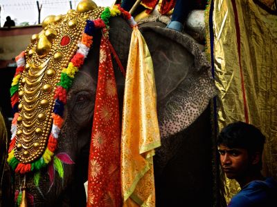 Bio-Rundreise Indien alternativ Gruppenreise ReNatour