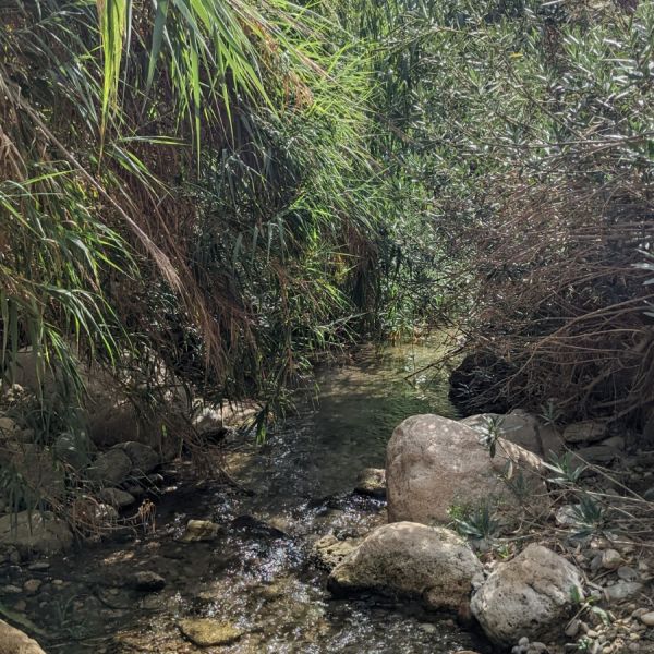 Wanderurlaub Spanien: Naturpark Cabo de Gata in Andalusien