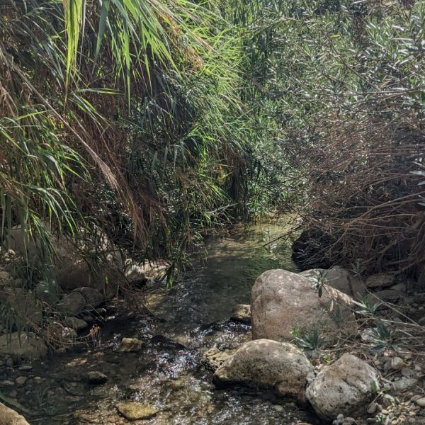 Wanderurlaub Spanien: Wandern im Naturpark Cabo de Gata in Andalusien