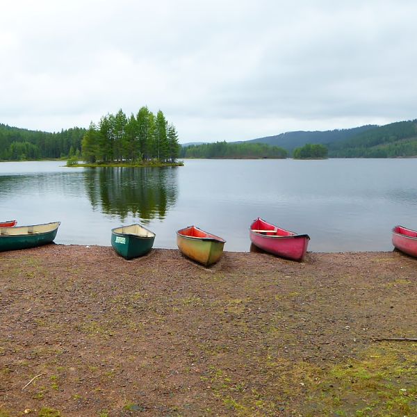 Abenteuer im Norden - Familienurlaub in Schweden