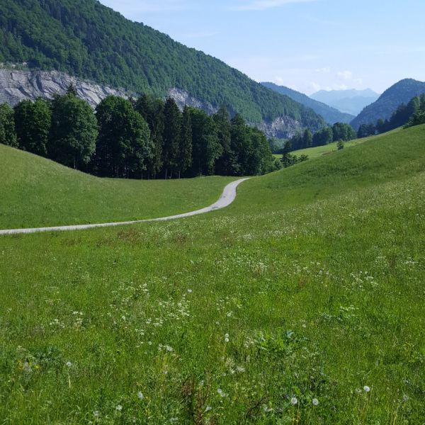 Bio-Urlaub im Thierseetal - Tirol - sterreich