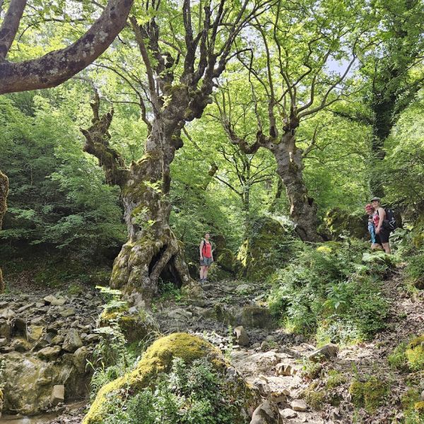Wandern im verborgenen Zagoria-Tal in Albaniens Sden