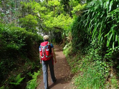ohne Gepäck individuell wandern auf Madeira 