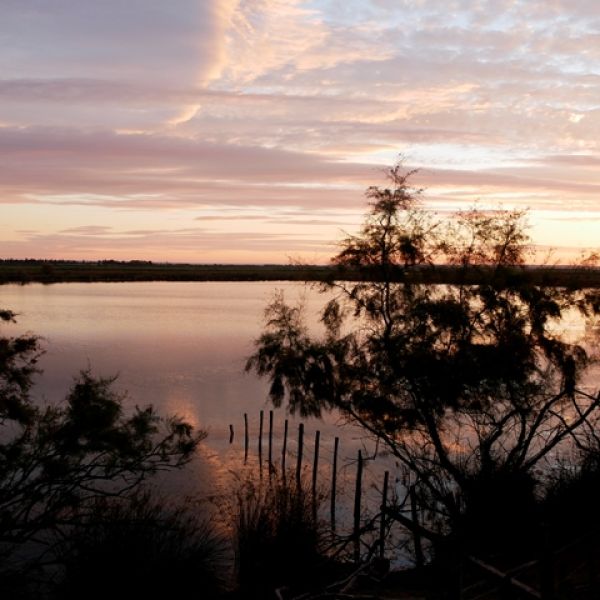 Familienurlaub im Landhaus Mas Fonrouge - Camargue/Sdfrankreich