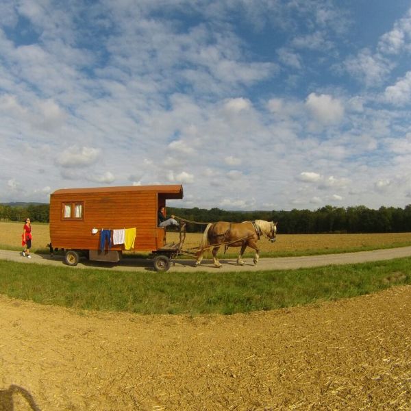 Planwagen-Urlaub in den Vogesen - Frankreich