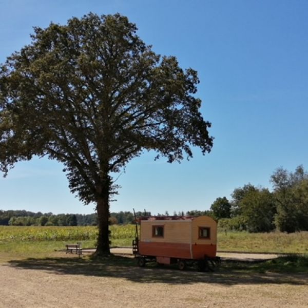 Planwagen-Urlaub in den Vogesen - Frankreich