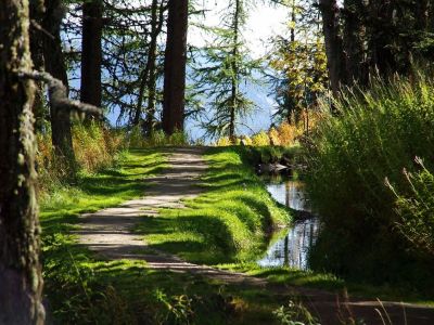 bergwald wandern valle de ayas