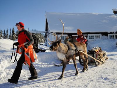 Unterwegs mit dem Rentierschlitten (Foto: Sandra Peter und Jochen Oetinger)