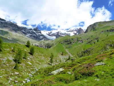 Gletscher am Monte Rosa in den italienschen Alpen Aostatal