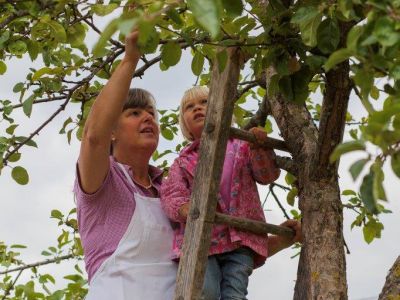 Obst pflücken, Apfelbaum, Oma mit Kind nachhaltiger Obstanbau