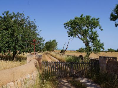 Mallorca Appartement Meer Strandnhe Selbstversorgung 