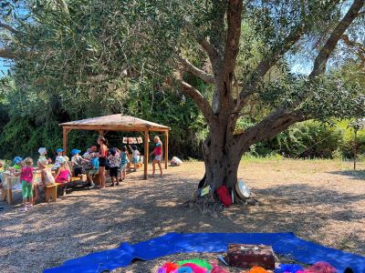 Kinderprogramm Olivenbaum Korfu Agios Georgios Pagon