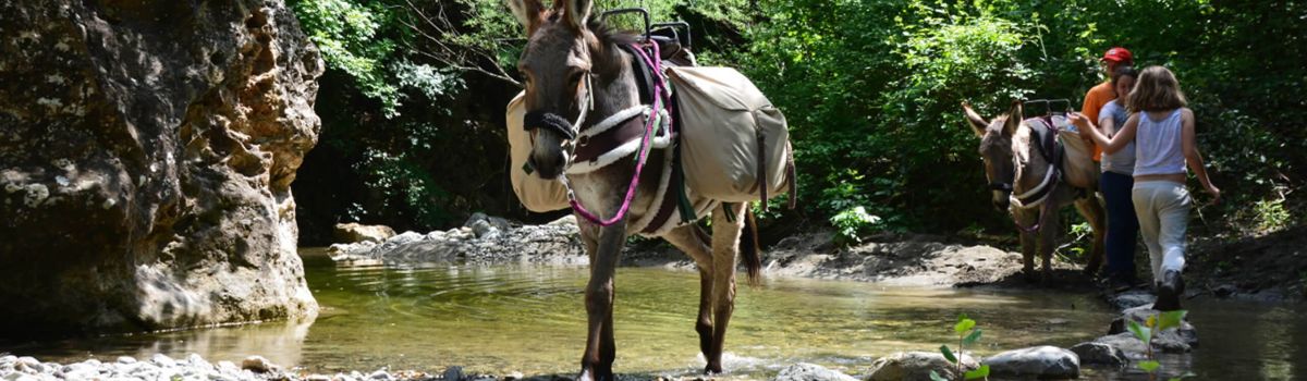 toskana urlaub anders eseltrekking