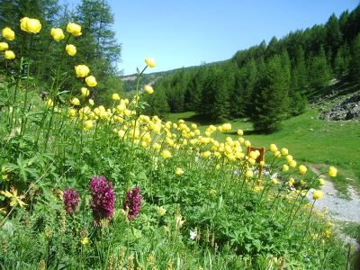 Natururlaub in Frankreich Alpen Sden Seealpen Nationalpark Mercantour