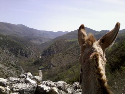 Eseltrekking im Regionalpark Sirente-Velino