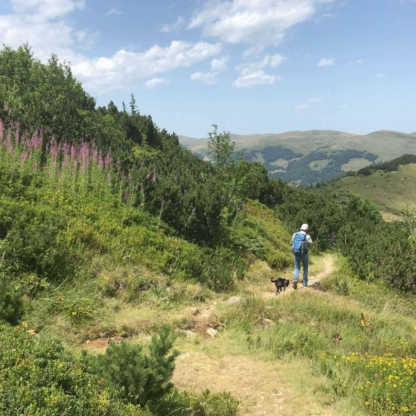 Wandern ohne Gepck in Montenegro: von Alm zu Alm im Nationalpark Bjelasica/Mokra Gebirge 