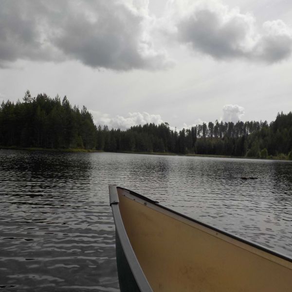 Abenteuer im Norden - Familienurlaub in Schweden