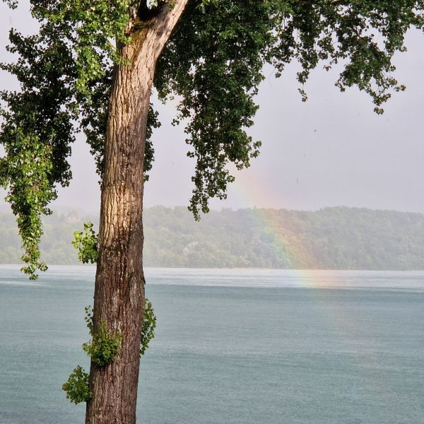 Single mit Kind-Urlaub: Auszeit am Starnberger See 