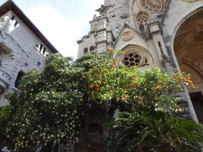 Wandern im Tranmuntana Gebirge auf Mallorca