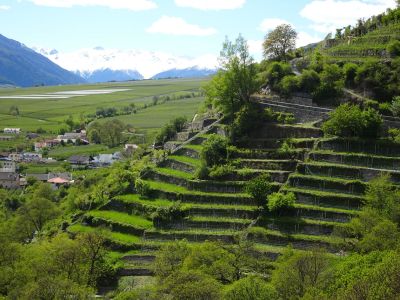 Familien Wanderwoche Südtirol Vinschgau 