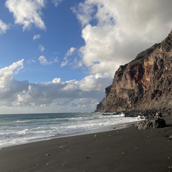 Delfin- und Walbeobachtungswoche (Whale Watching) auf La Gomera