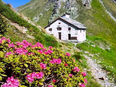 wandern ohne gep�ck alpen berge ospizio sottile